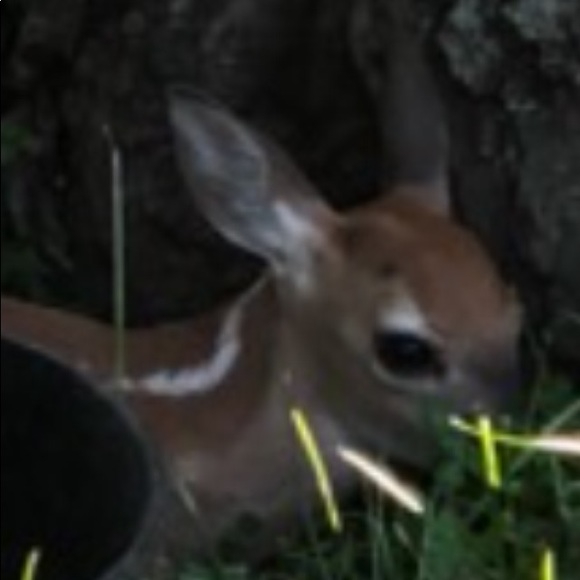 Oh,dear! - Picture 2 of 2